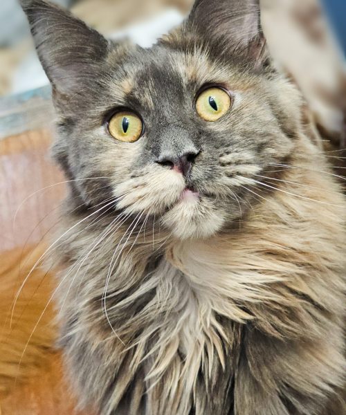 20260130_133010_polarr dobre2